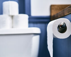 Photo of a roll of toilet paper in a bathroom.