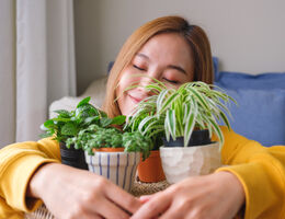 A woman hugs four small, potted plants